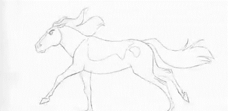 马小浪带你学骑马先来认识马儿如何走路和跑步