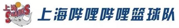 上海哔哩哔哩篮球队