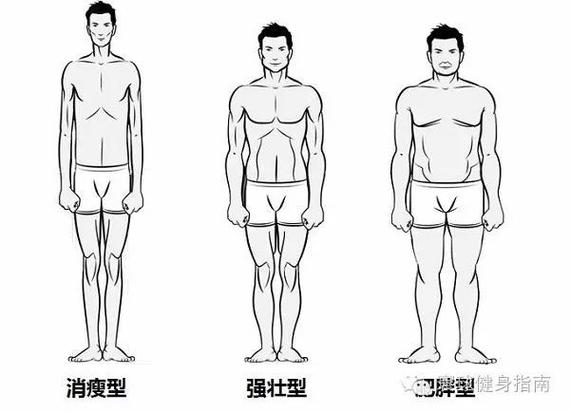 没有壮不起来的瘦子 瘦人如何练出一身肌肉?