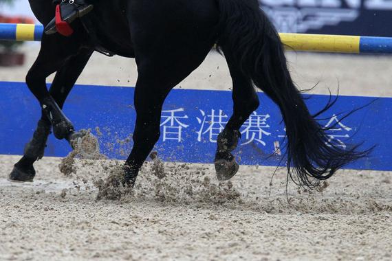 2016马术中巡赛广州总决赛