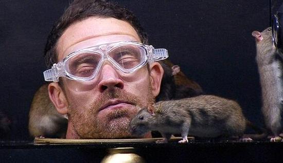 前切尔西名将挑战恐惧极限老鼠吻脸你能忍多久