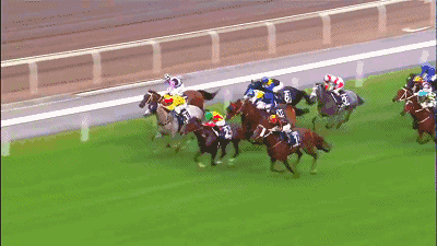 包邮养生茶 三高茶 绞股蓝罗布麻调血压 血糖 血脂30小包 组合茶