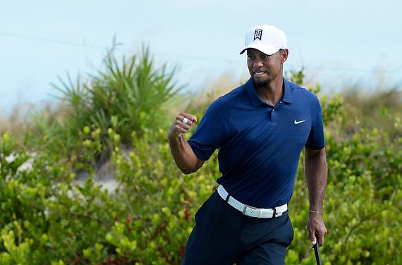 老虎标志性握拳再现江湖！