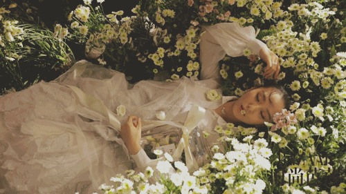 手牵白马细嗅蔷薇刘诗诗骑马网友惊呼美哭了