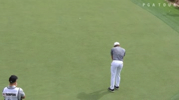 gif-德尚博比赛首用新推杆姿势 “骑侧鞍”频抓鸟_手机新浪网