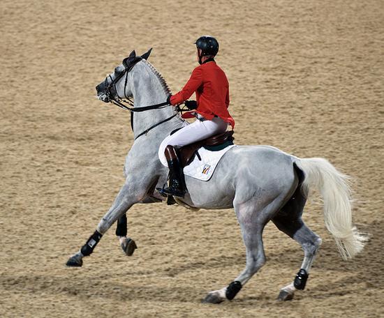 德国顶尖纯血马种霍士丹马!