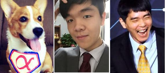 2016围棋界最有话题的三个名字