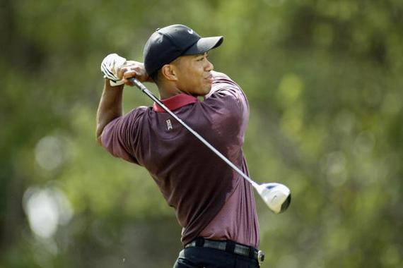 2002年的老虎-伍兹