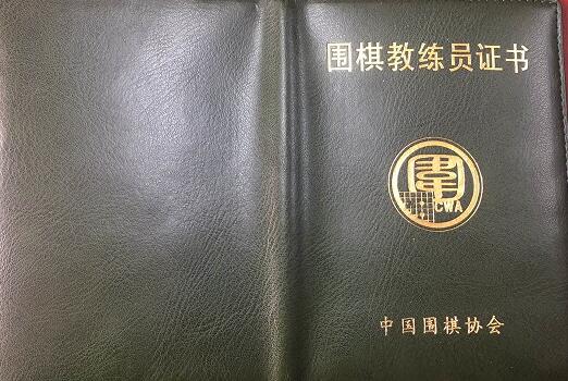 成为中国围棋认可的初级教练员，围棋水平至少应有业余1段