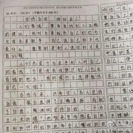 关于高三语文压轴题！作文+文学类文本，专项突破的信息
