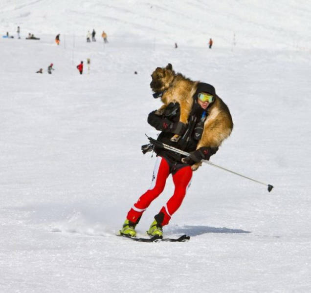 近一段时间，国内滑雪场屡屡发生滑雪人员伤亡事件。