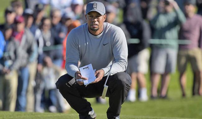 伍兹的下一场比赛在哪里？