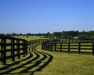 如果有钱，我要买遍世界各地的马场