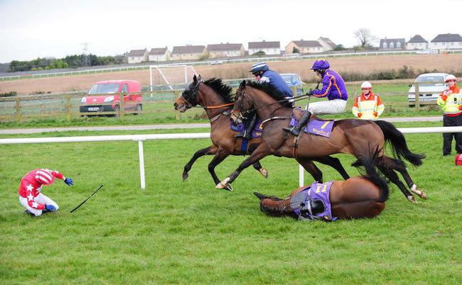 综合体育 马术 动态资讯 正文   马踢人分两种情况,一种是马故意想踢