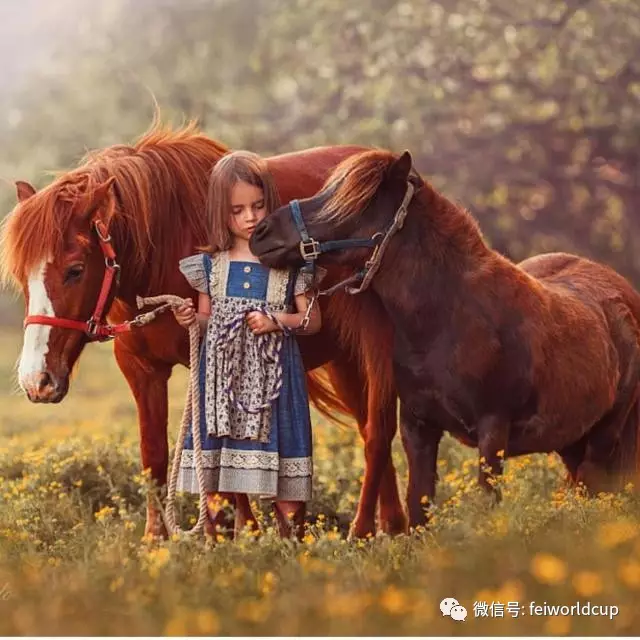 "马背疗法"送福音 有望辅助治愈儿童自闭症