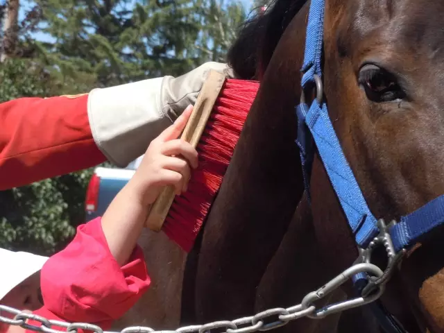 图：nwmpmuseum.com