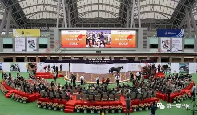 2016香港国际马匹拍卖
