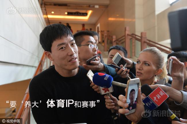 刘翔参加两会
