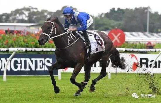 ▲图/Steve Hart，‘云丝仙子’