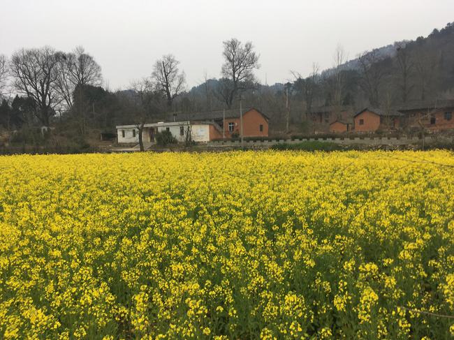 徒步是会让人上瘾的，带给大家心情的愉悦与身体的酣畅淋漓。