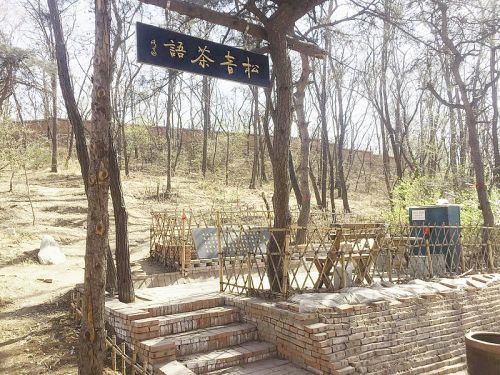 “松音茶语”小花园。