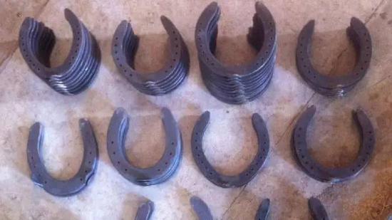 2015年4月摄于内蒙古蒙骏马术俱乐部