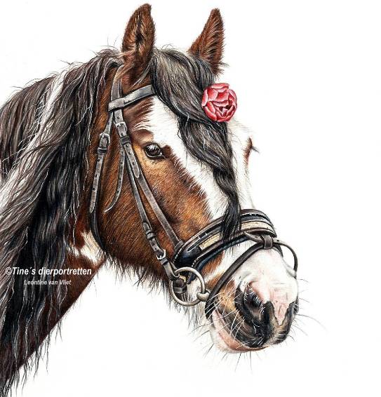 惟妙惟肖的马儿