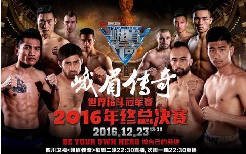 世界格斗冠军赛2016年终总决赛