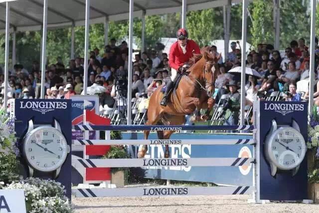 五一上演马术大赛