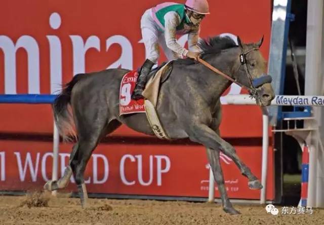 美国马“鸠占鹊巢”