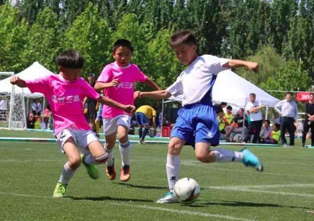 体育培训的本质仍是教育