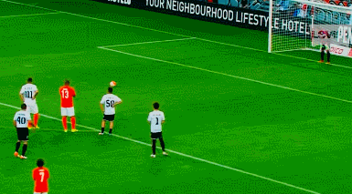 诺维茨基模仿扎扎