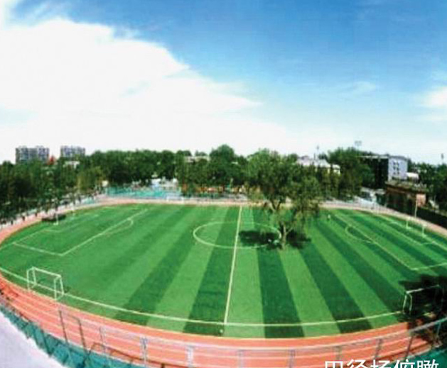 育才学校的操场上有颗树