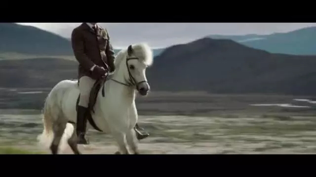 马儿的耳朵你要懂