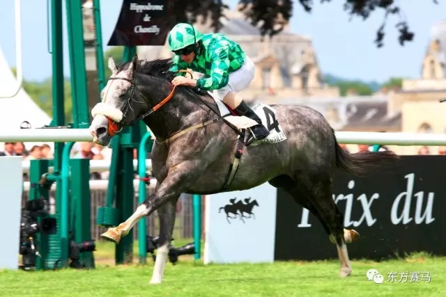 "巴米托"法国德比拔头筹三冠赛 赛马或成法国第3个三冠王 - 米尔体育