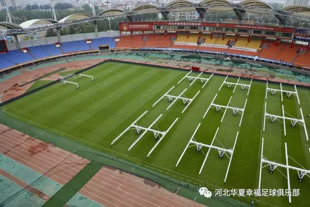 华夏幸福养护草皮工作