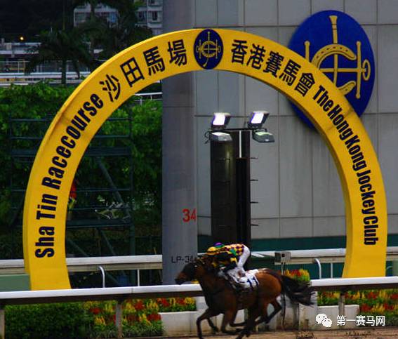 香港赛马