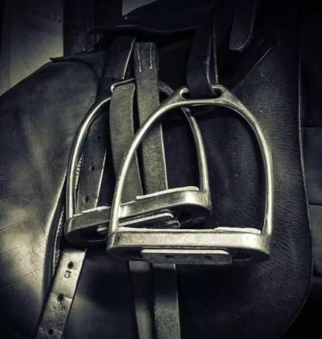 马具小贴士:学习马术运动 你必须要知道的马装备