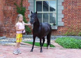 小孩正牵着宠物马