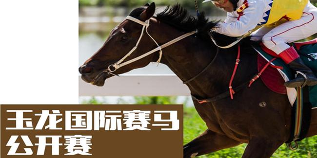 玉龙国际赛马公开赛