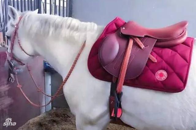 人靠衣装马靠鞍。