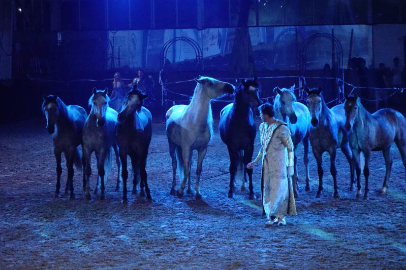 《特洛伊》彩排现场