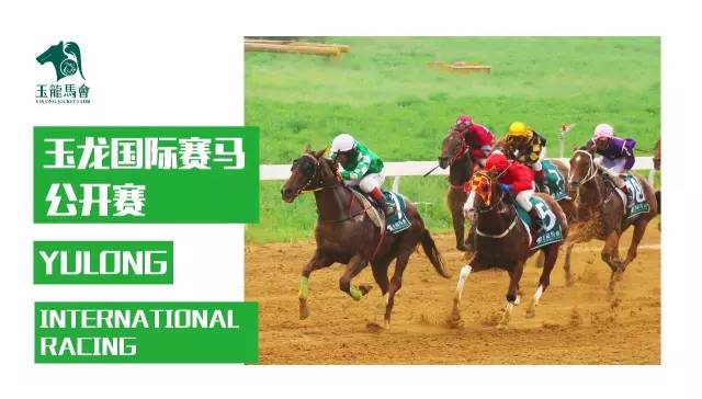 玉龙国际赛马公开赛