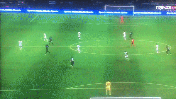 孔多比亚的乌龙