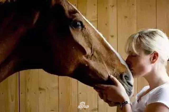 王位继承人“马术公主”