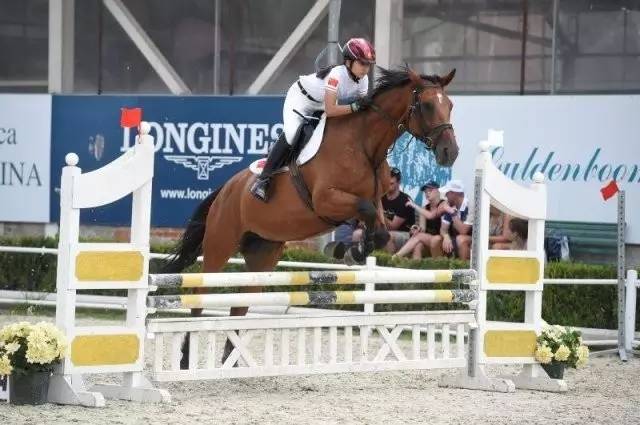 赛场上的中国骑手