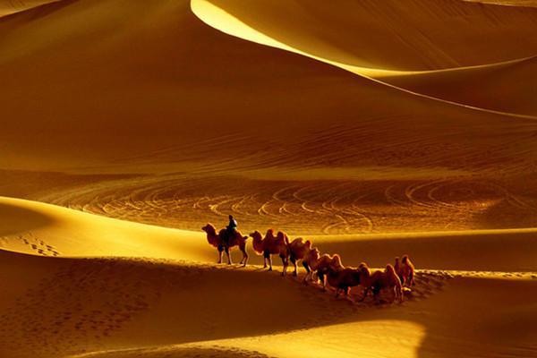 丝绸之路 资料图