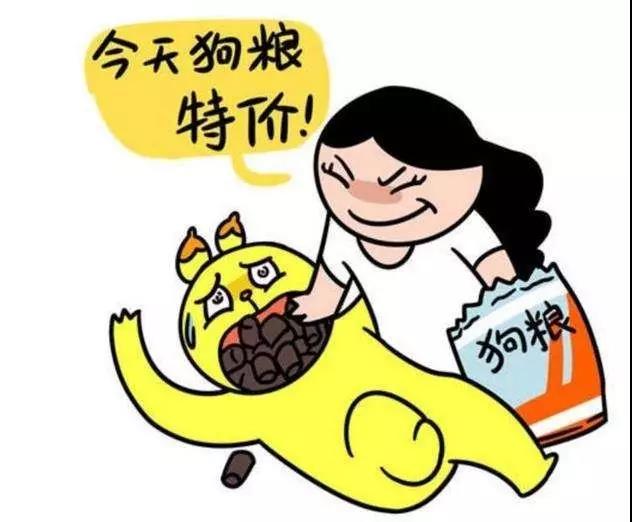 七夕情人节特价作为足球狗的你今天吃狗粮了吗