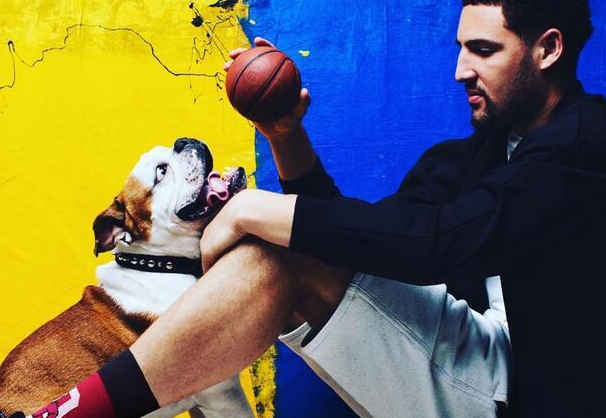 你是不是在外头有狗了？