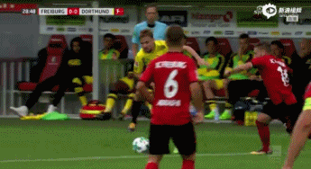 施梅尔策被犯规